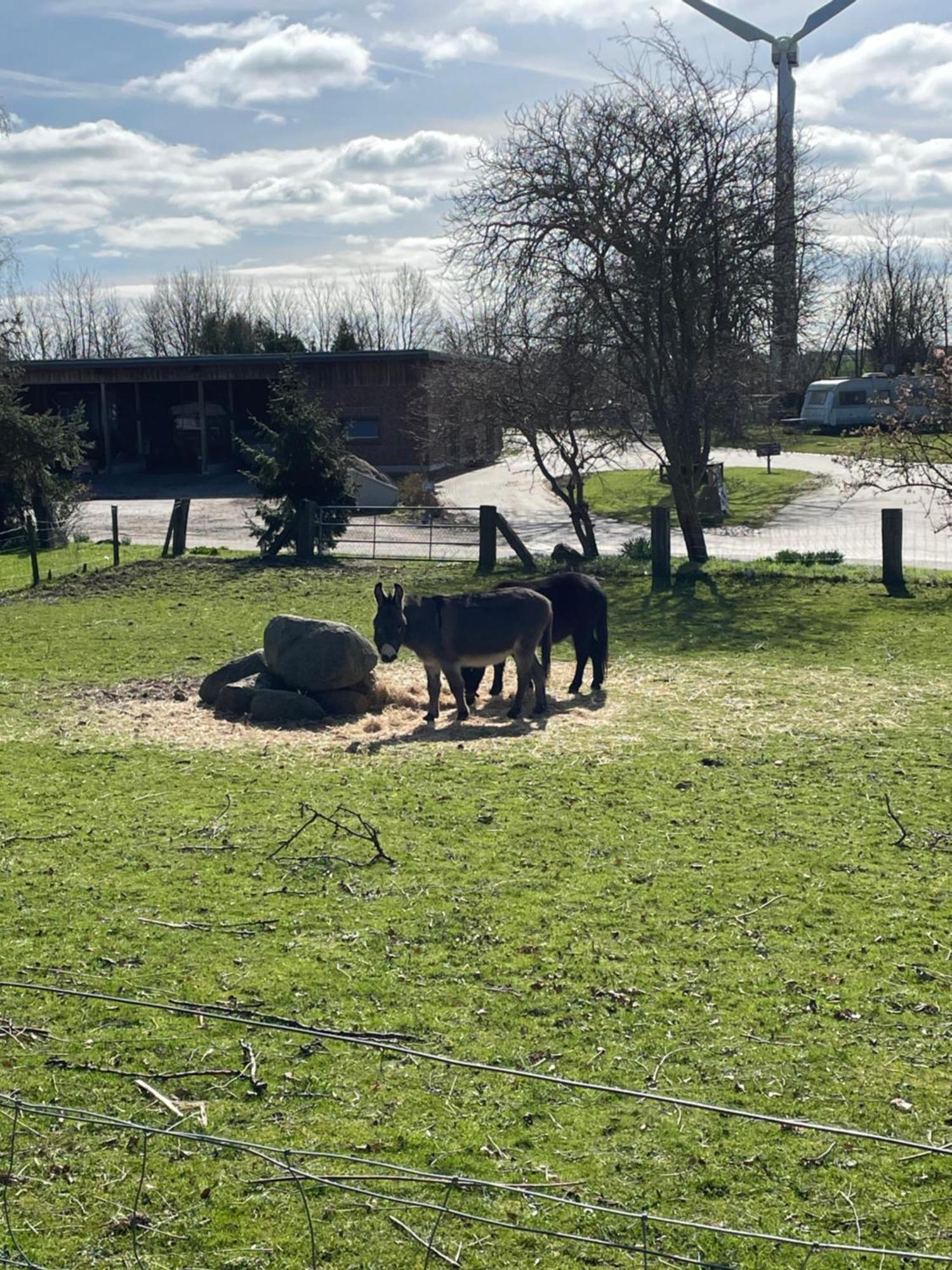 Apartament Beltblick Fehmarn Zewnętrze zdjęcie