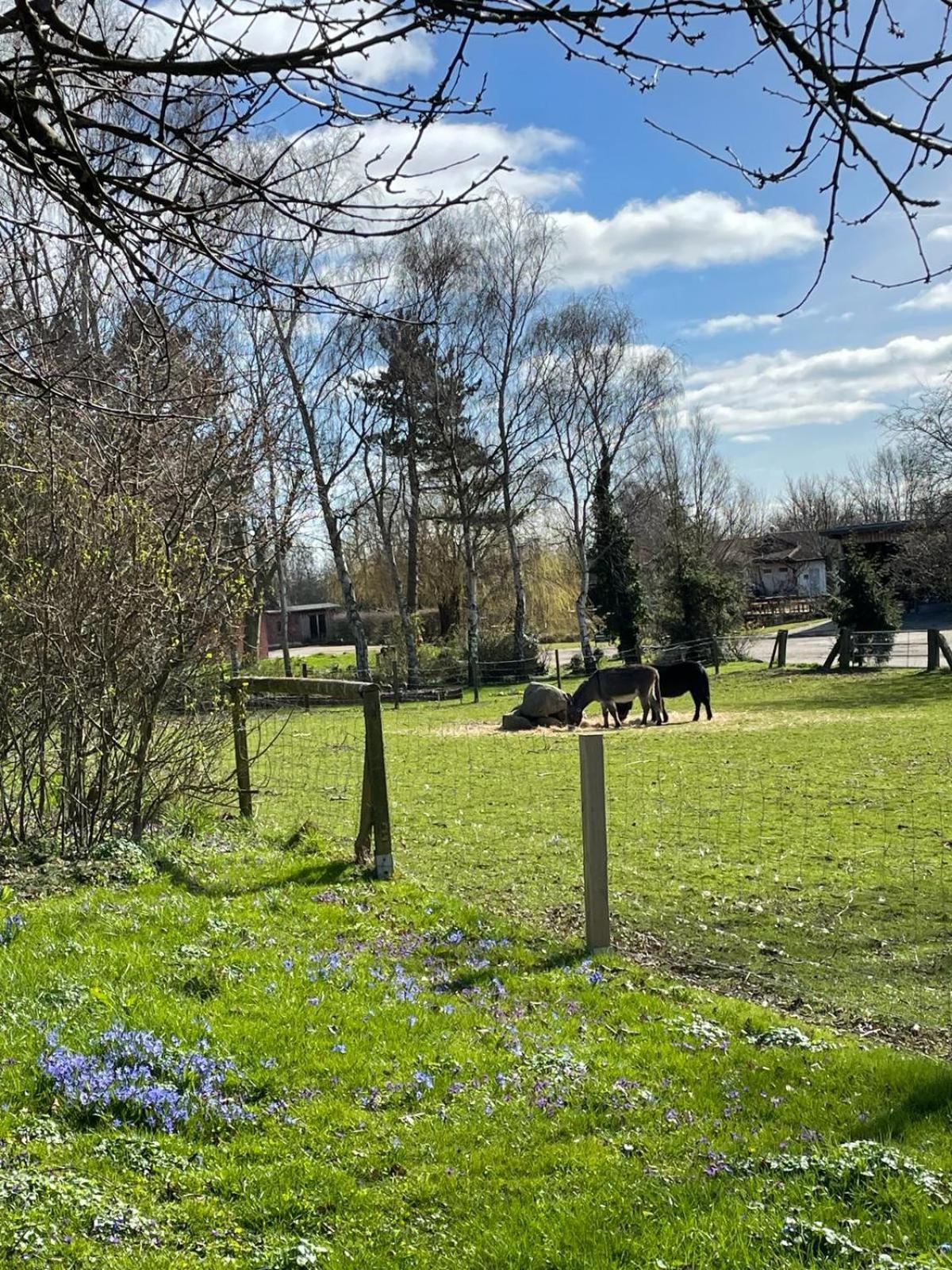 Apartament Beltblick Fehmarn Zewnętrze zdjęcie