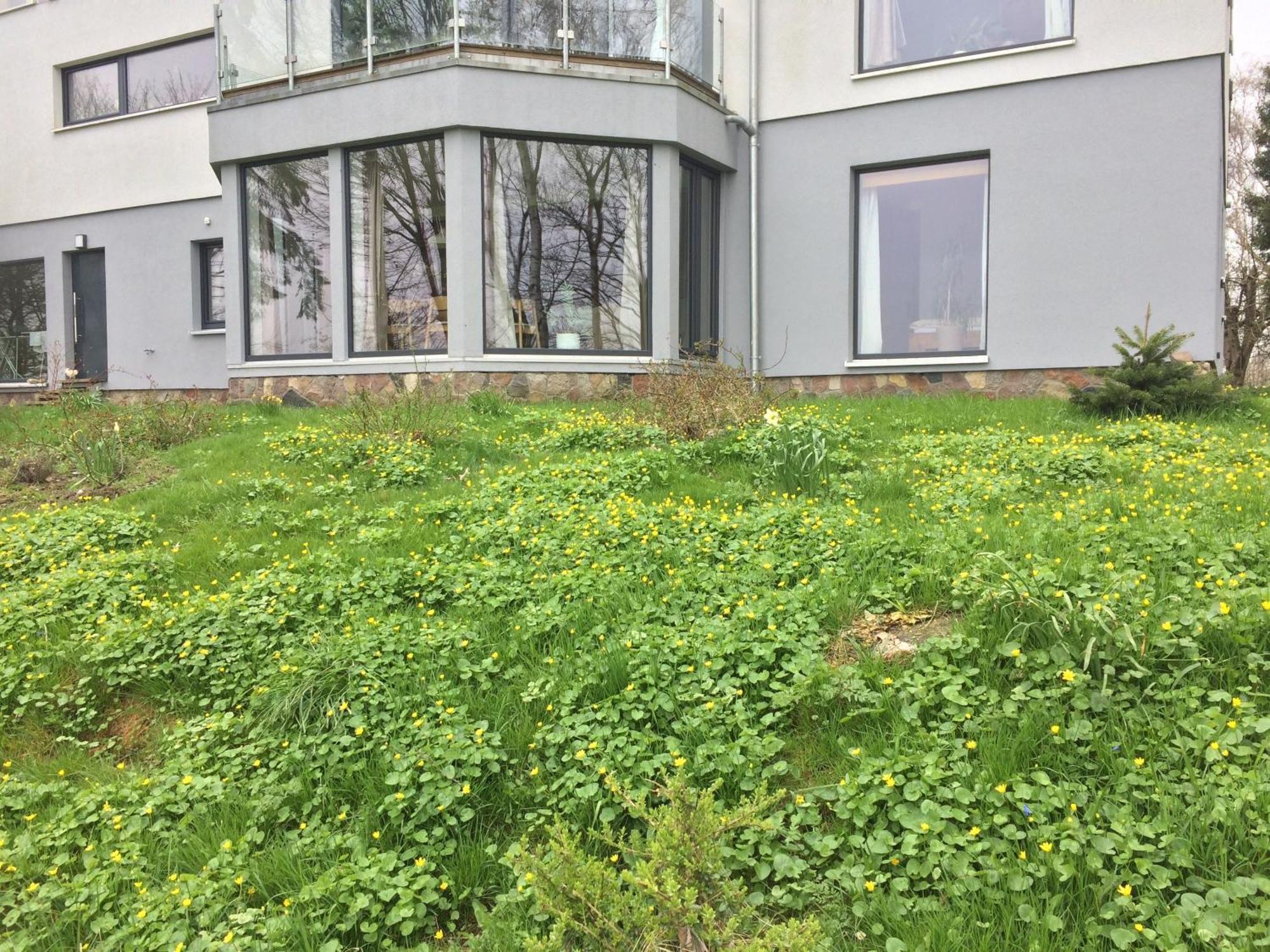 Apartament Beltblick Fehmarn Zewnętrze zdjęcie
